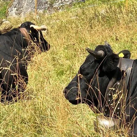 Victoria Retreat Vercorin